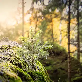 conform systems GmbH mit Standort in Ostsachsen Schmölln-Putzkau, Arbeitssicherheit, Qualität sowie Umwelt und Energie. 